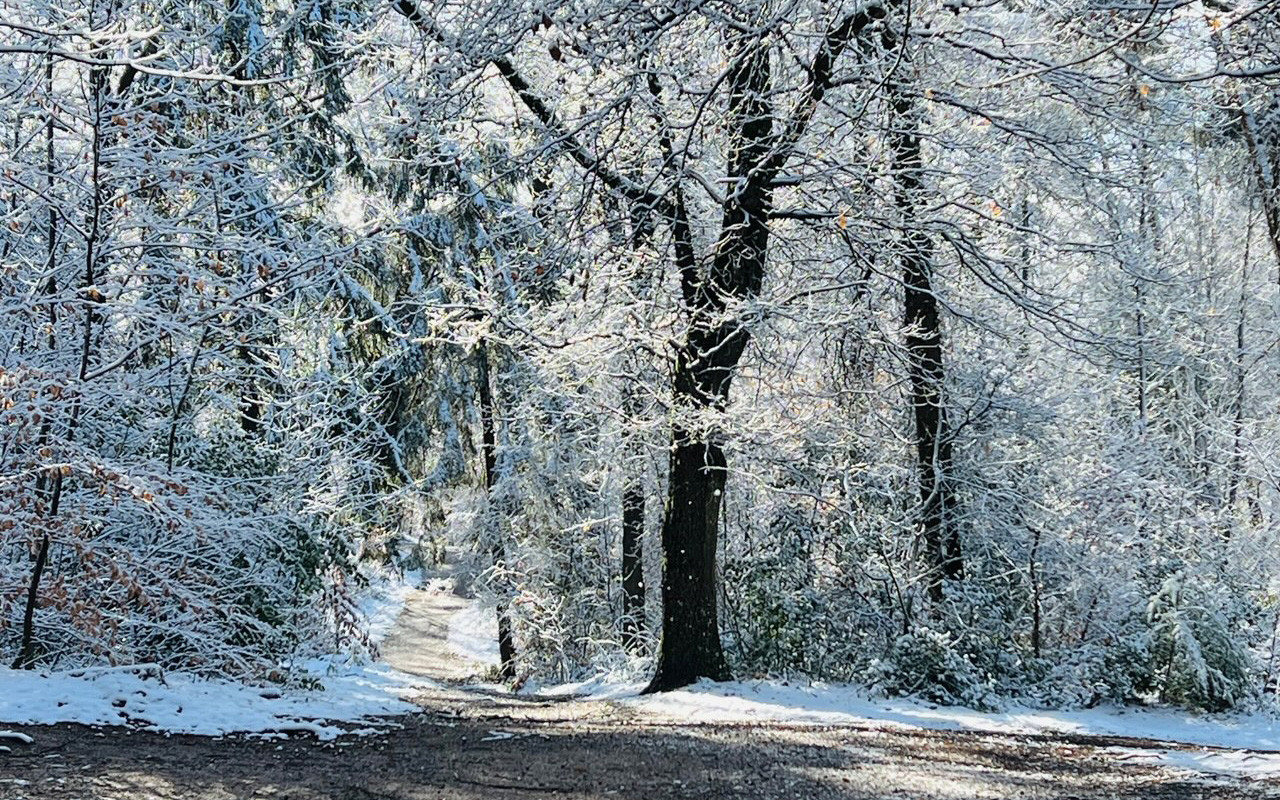 B kalenberg sneeuw