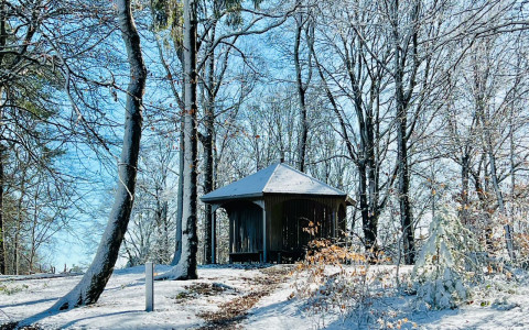 B koepel sneeuw