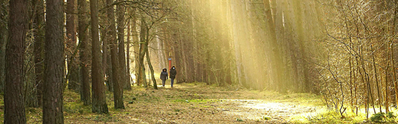 B sm wandelen 1