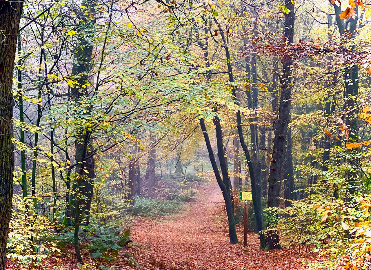 R wandelbos