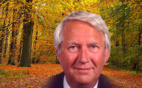 Willemtiggeler